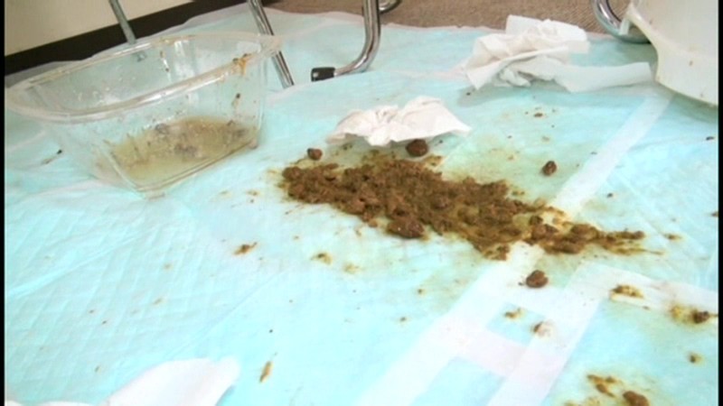 サンプル画像 8