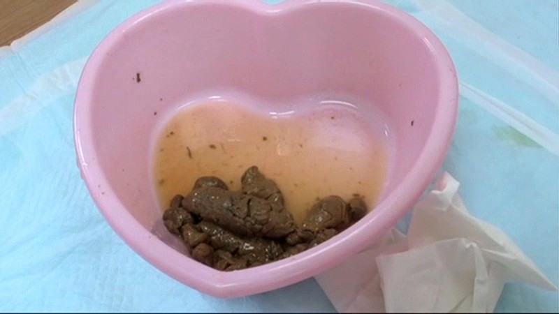 サンプル画像 11