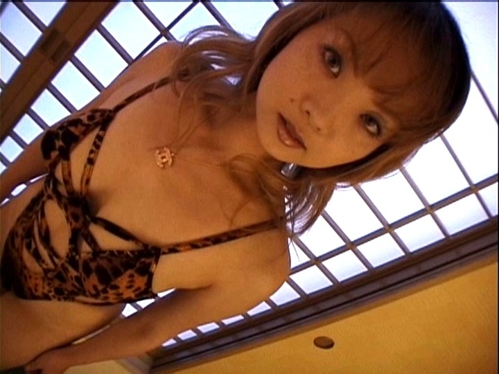 サンプル画像 13