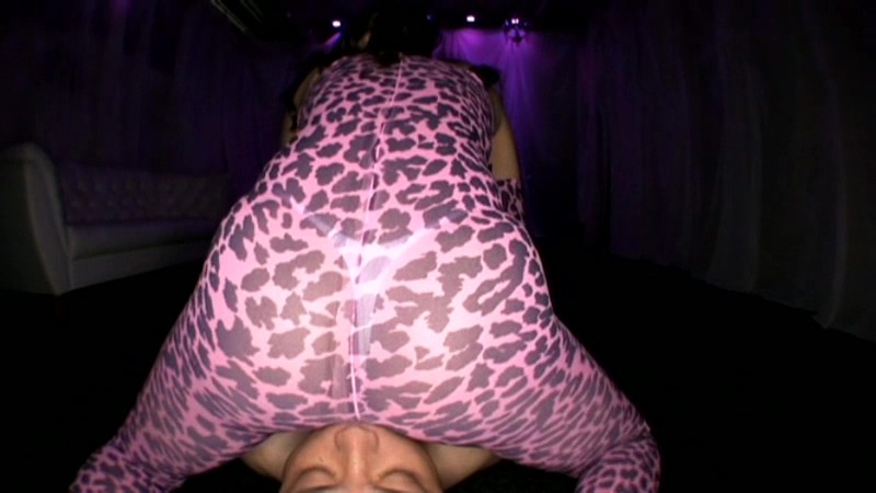 サンプル画像 13