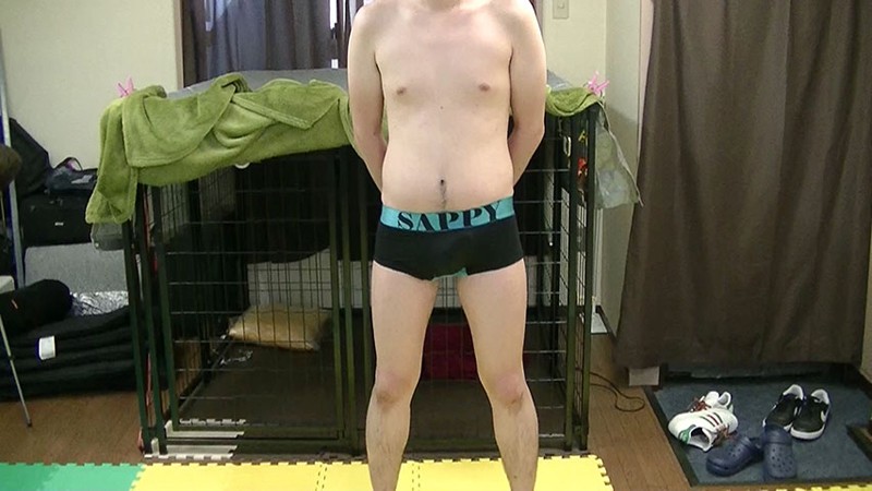 サンプル画像 9