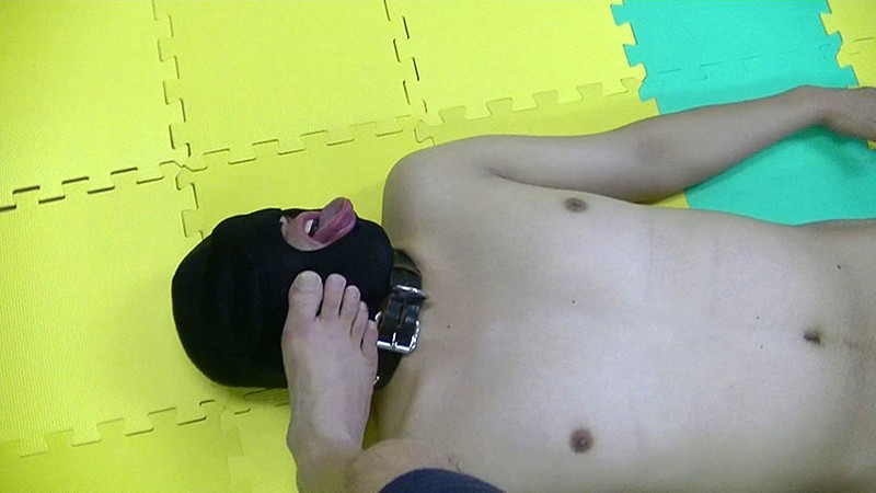 サンプル画像 12