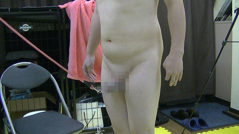 サンプル画像 12