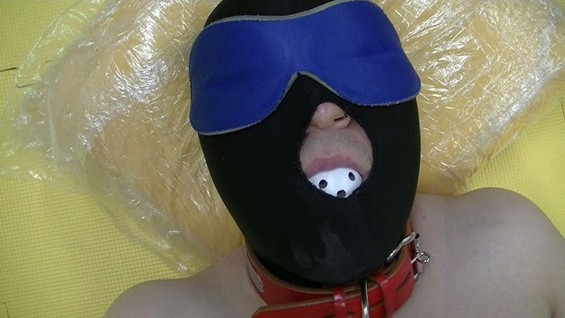 サンプル画像 18