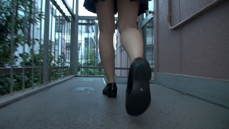 サンプル画像 5