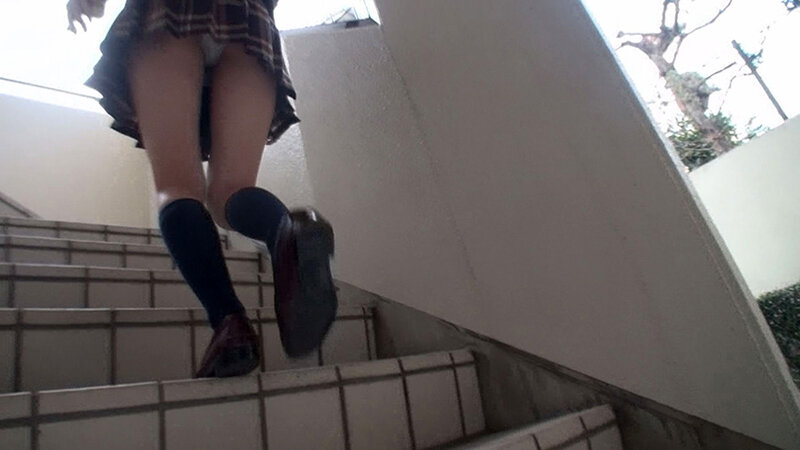 サンプル画像 4