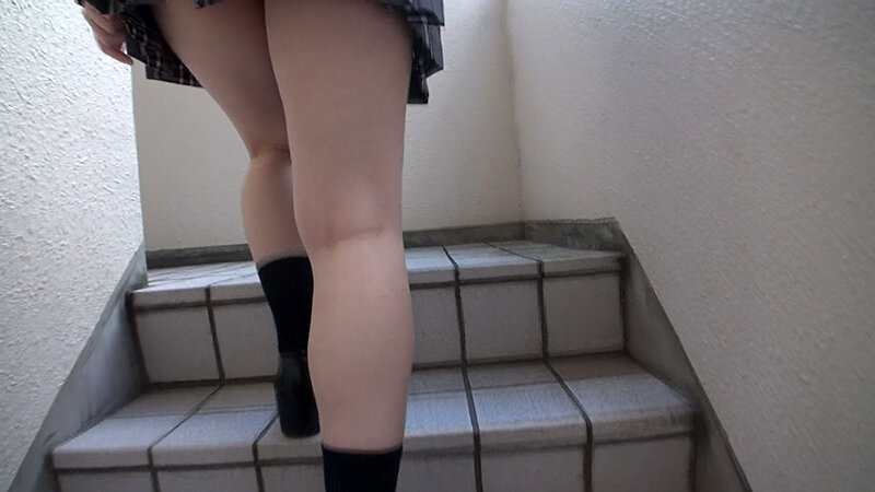 サンプル画像 8