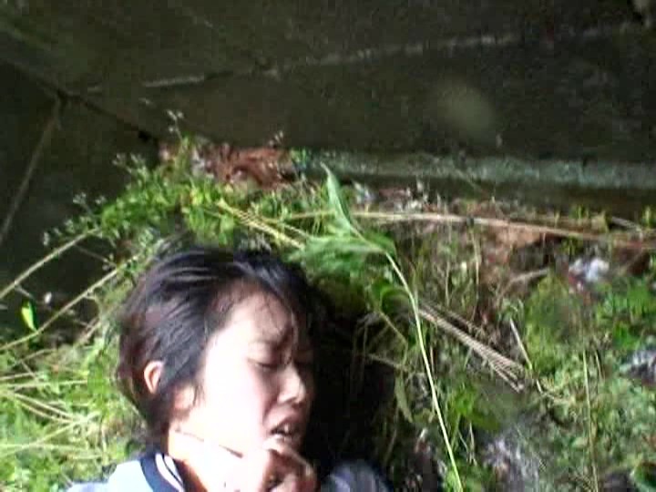 サンプル画像 16