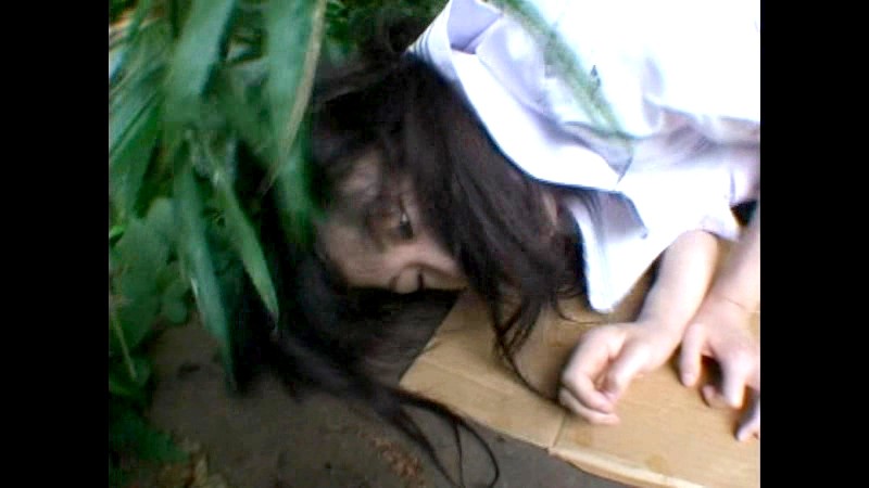 サンプル画像 10