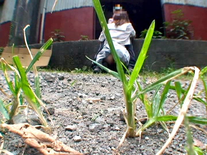 サンプル画像 19