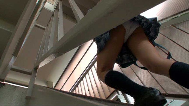 サンプル画像 19