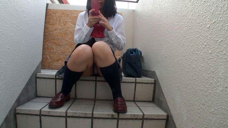 サンプル画像 13