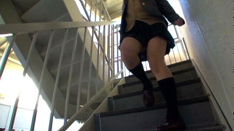 サンプル画像 13