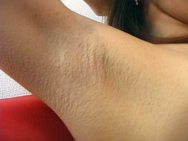 サンプル画像 11