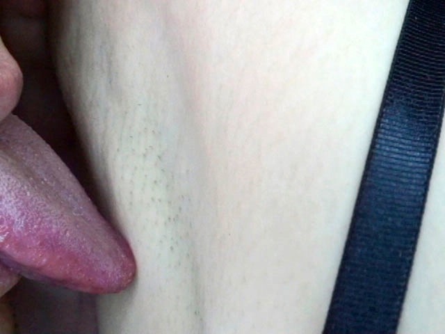 サンプル画像 6