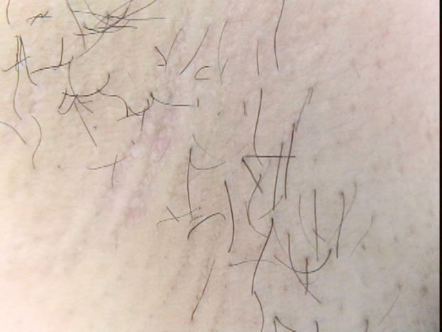 サンプル画像 13