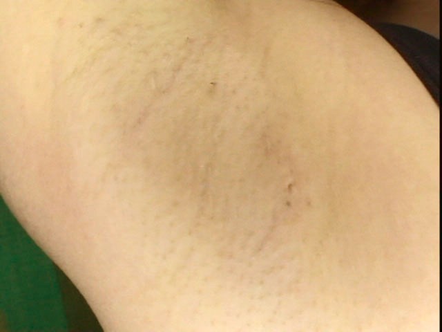 サンプル画像 15