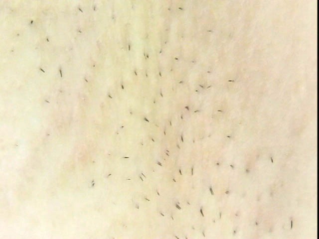 サンプル画像 19