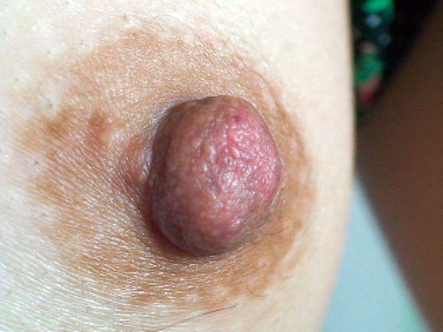 サンプル画像 18