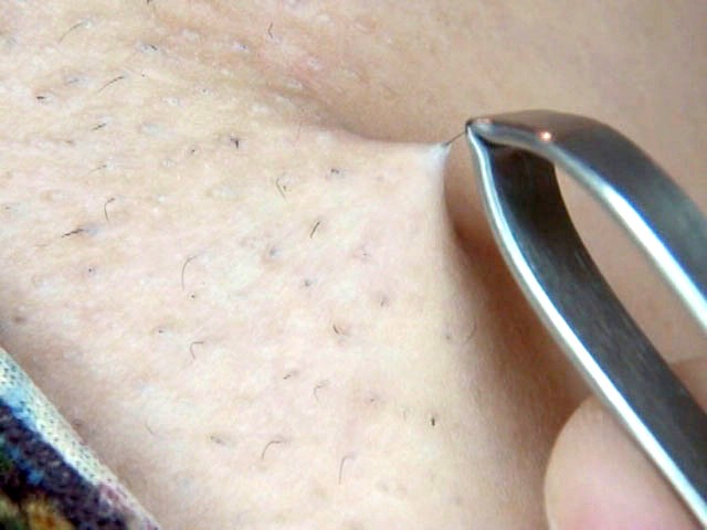 サンプル画像 3