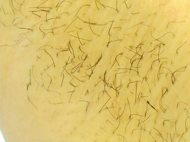 サンプル画像 15