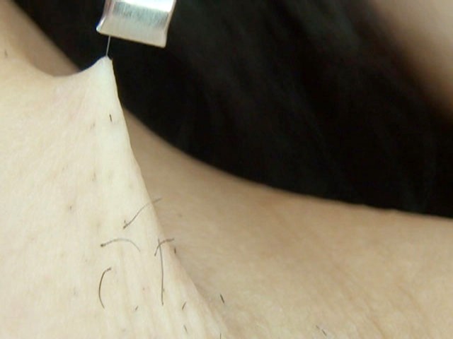 サンプル画像 10