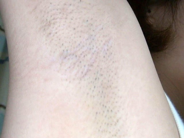 サンプル画像 13