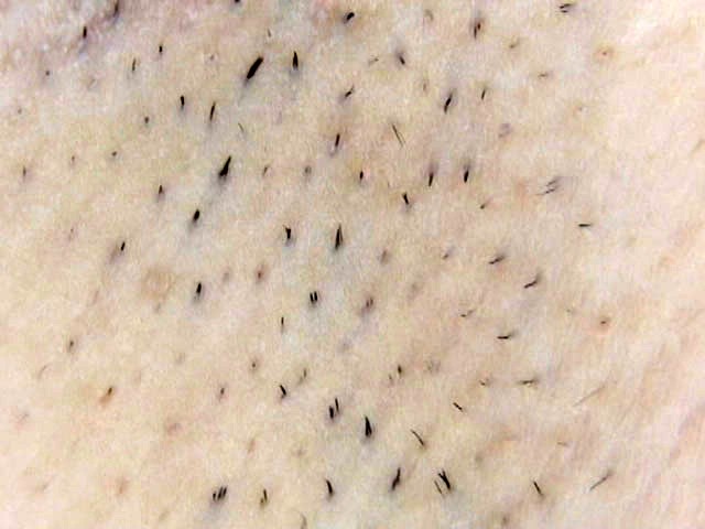 サンプル画像 14