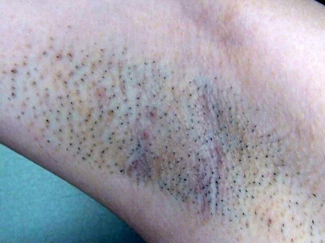 サンプル画像 15