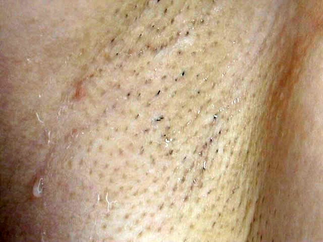 サンプル画像 4