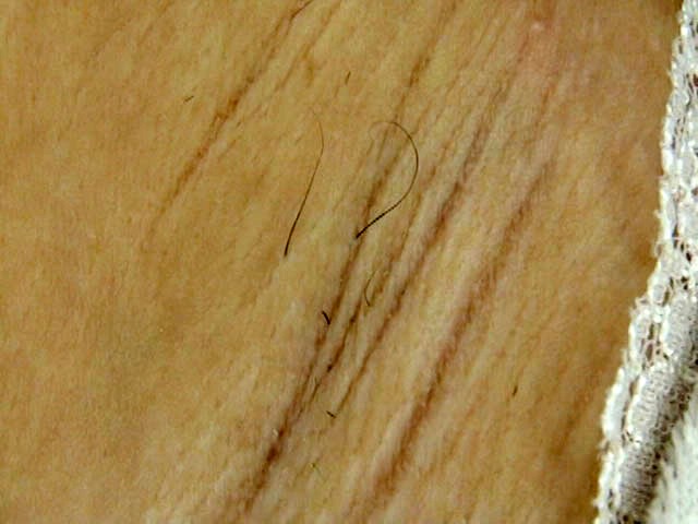 サンプル画像 6