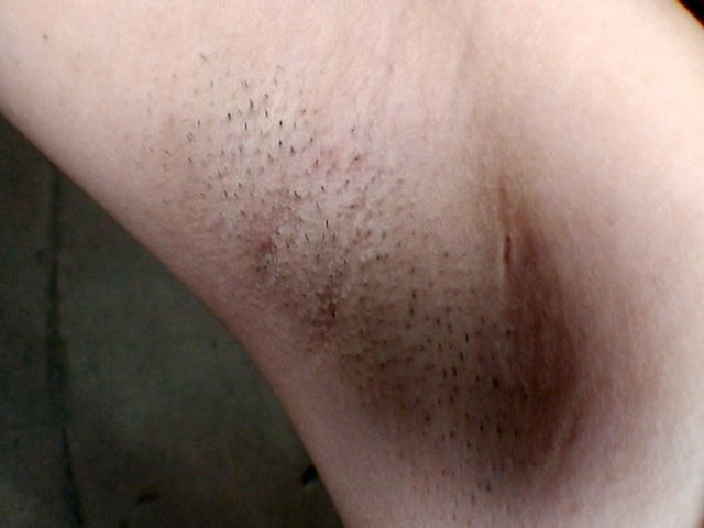 サンプル画像 7