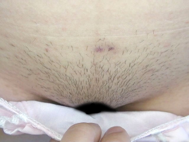 サンプル画像 7