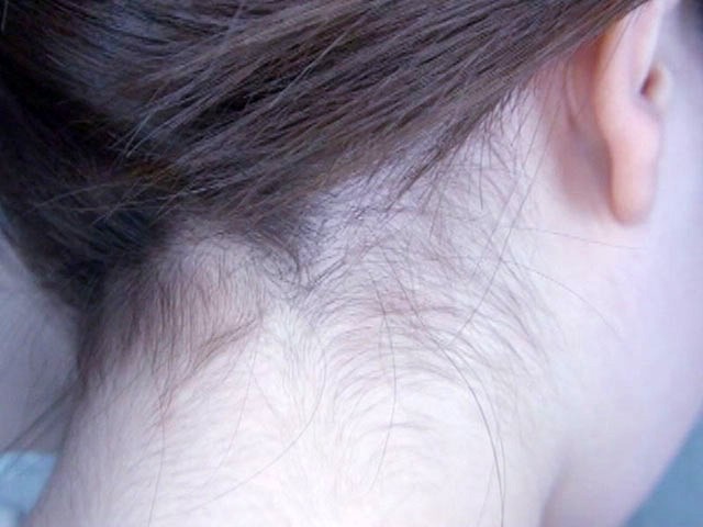 サンプル画像 11