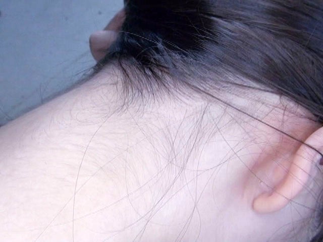 サンプル画像 12