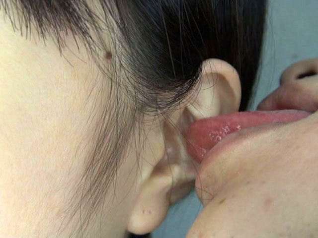 サンプル画像 11