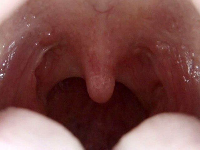 サンプル画像 14