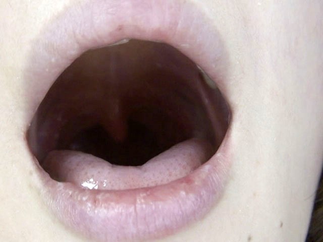 サンプル画像 16