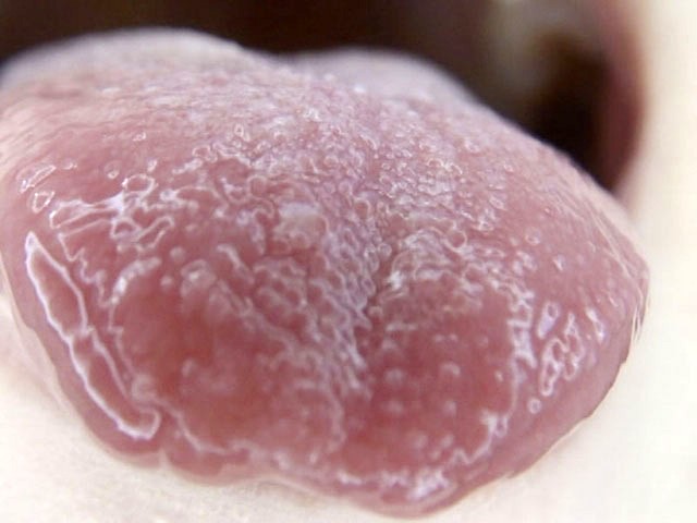 サンプル画像 18