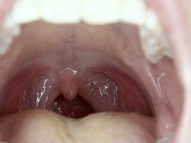 サンプル画像 20