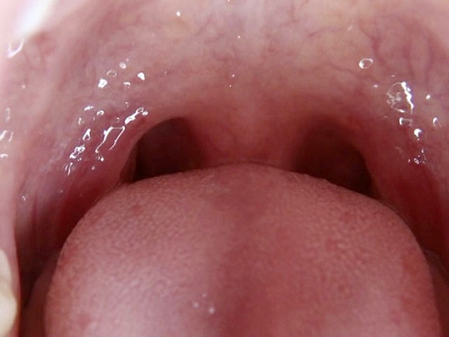 サンプル画像 3