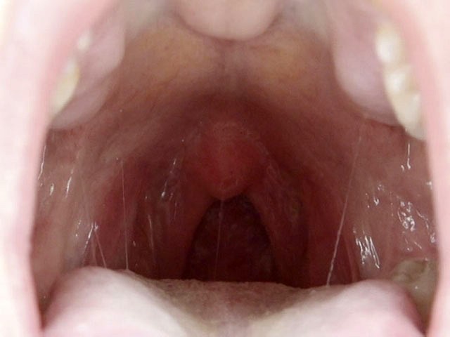 サンプル画像 6