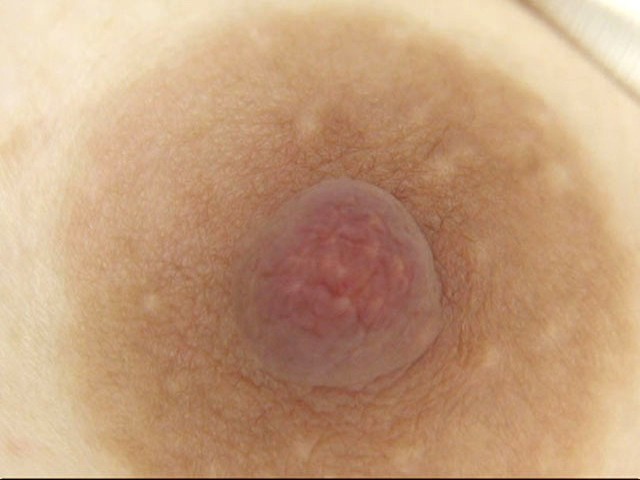 サンプル画像 11