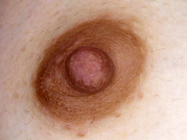 サンプル画像 14