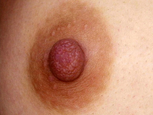 サンプル画像 15