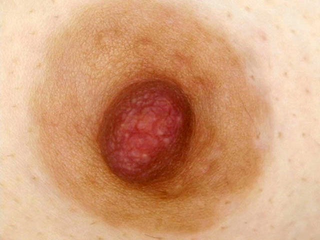 サンプル画像 5