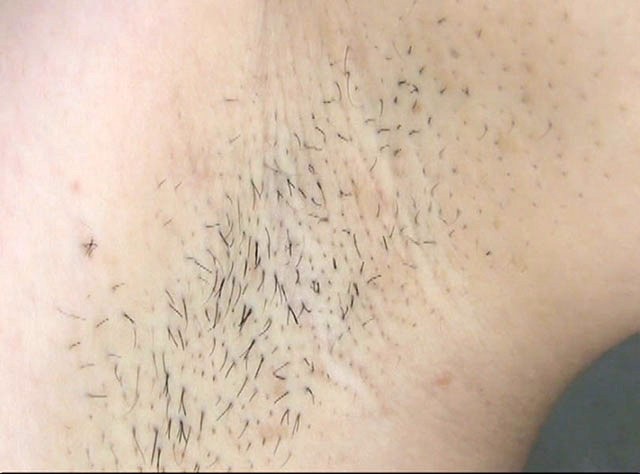 サンプル画像 11