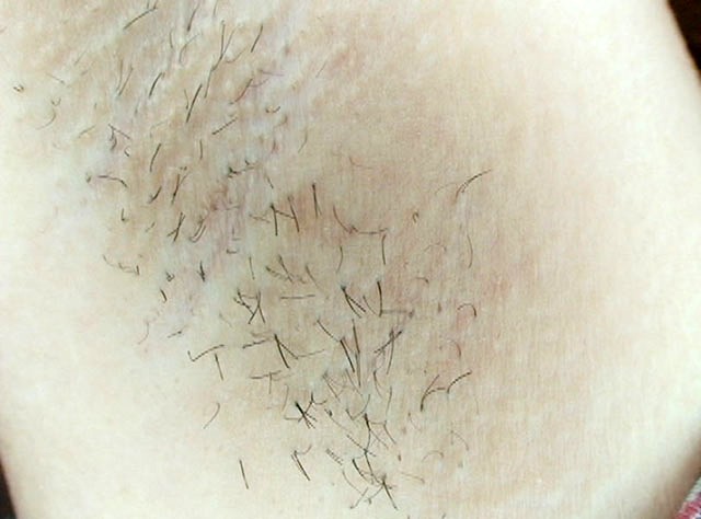 サンプル画像 13