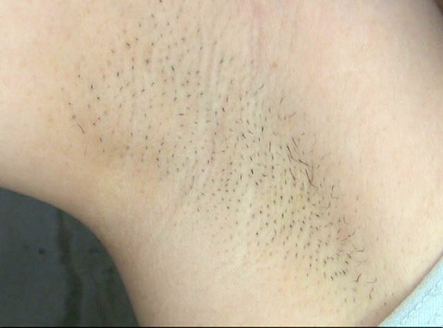 サンプル画像 14