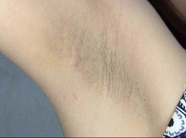 サンプル画像 18